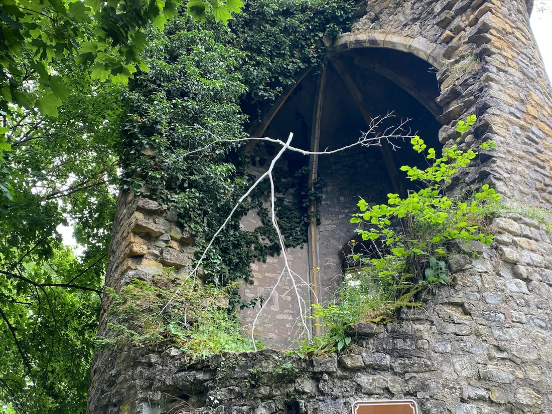 Photos :  Constellations 2021 présente l’un de ces parcours